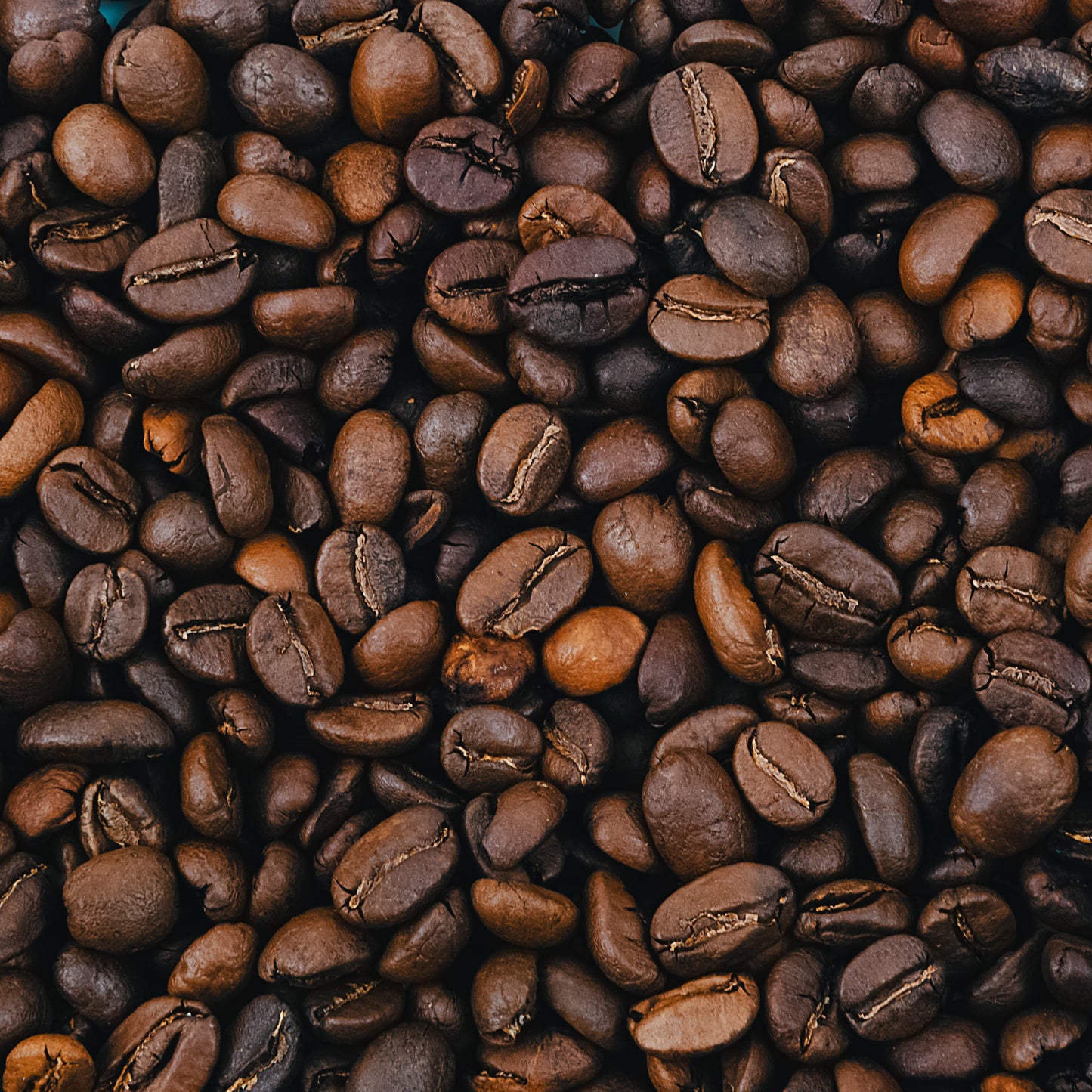 Café Brésil MODESTO